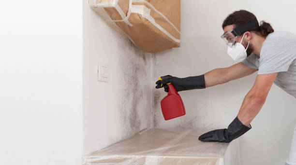 Professional Mold Inspection And Testing technician working in Alto, MI
